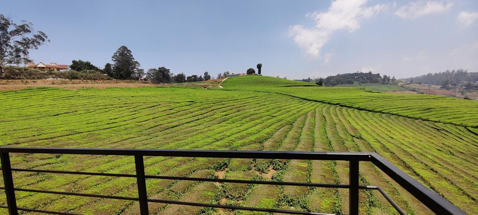 Bed and Breakfast Rose Garden Enclave For Families & Executives Udagamandalam Exterior foto